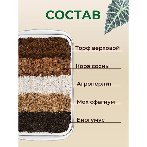 Грунт Terramis для Алоказии 2л органический купить в СОМ