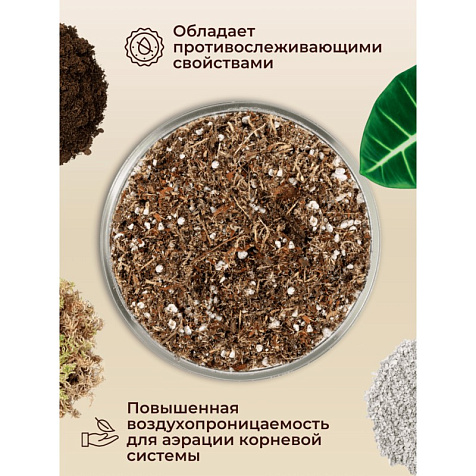 Грунт Terramis для Алоказии 2л органический купить в СОМ