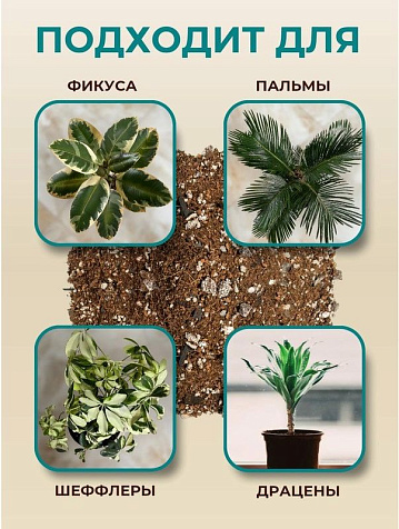 Грунт Terramis для Пальм и Фикусов на кокосовом торфе 2л органо-минеральный купить в СОМ
