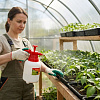 Распылитель ручной GRINDA Classic, 1000 мл купить в СОМ