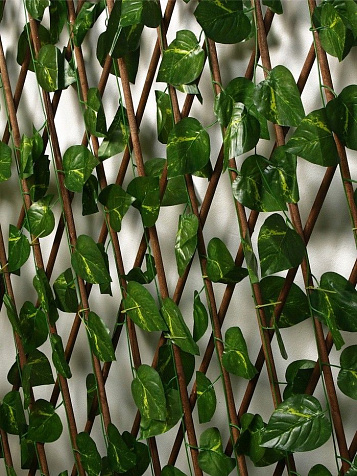 Ограждение Лист берёзы 200х75см Greengo купить в СОМ