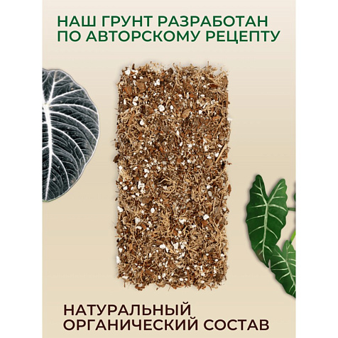 Грунт Terramis для Алоказии 2л органический купить в СОМ