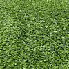 Искусственная трава Artificial Grass BM370-7мм; 4 м купить в СОМ